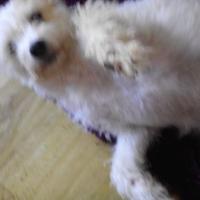 Juanma Nevado (@juanmanevado) 's Twitter Profile