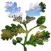 NT Nunnington Hall (@nunningtonhall) Twitter profile photo NT Nunnington Hall (@nunningtonhall) Twitter profile photo