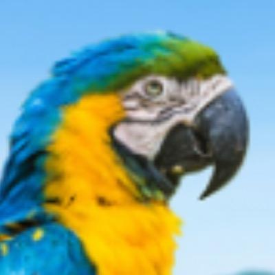 ArturLud's profile picture. who fucking knows