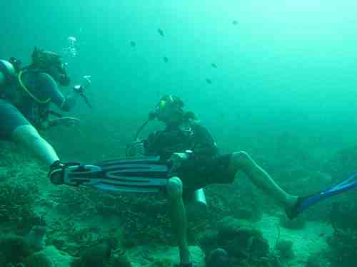 divetube's profile picture. Professional diver and videographer who wants to share his best video footages from the underwater world