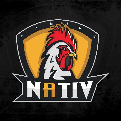 Nativ Gaming