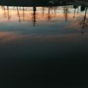 Jerry Cress - @Perpectualthink - Twitter