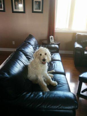 eht_tnias123's profile picture. 