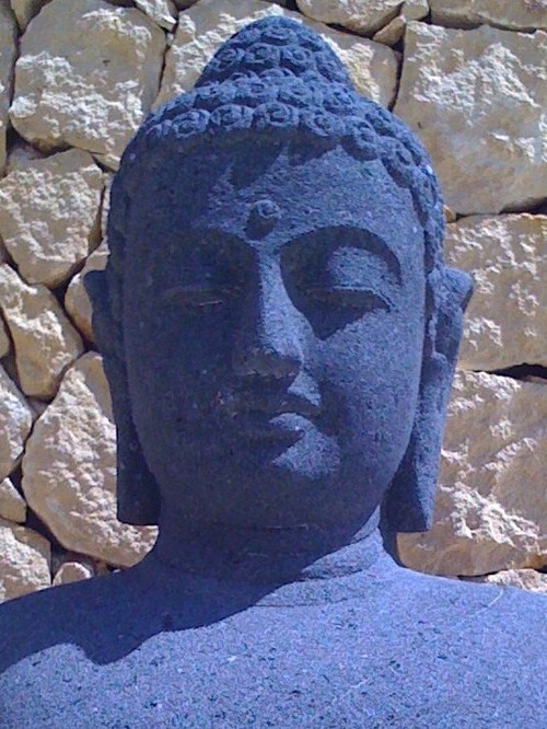 MarkvanSwieten's profile picture. 