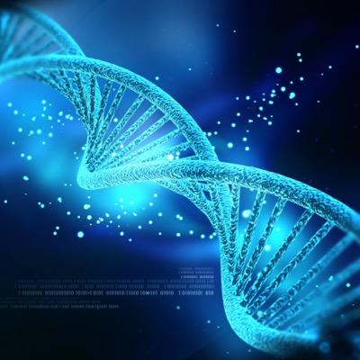 Giorgiolonglife's profile picture. longlifegenetics@gmail.com