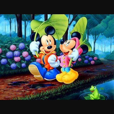 sofarintoit's profile picture. 20 | cynically warm 🍊