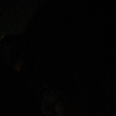 。さんのプロフィール画像