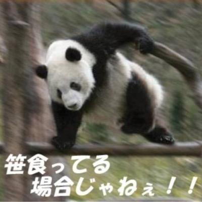 bohozu's profile picture. 細々とやっております。