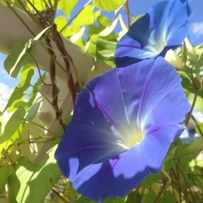 hyJhbmNIs3qucsT's profile picture. 