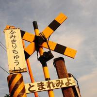 つりほわ (@treewhite81) 's Twitter Profile Photo つりほわ (@treewhite81) 's Twitter Profile Photo