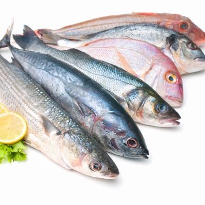 Wholesale fish merchants supplying the retail and catering trades for over 80 years across the North West and North Wales. info@hjesseseafoods.co.uk 01512285968