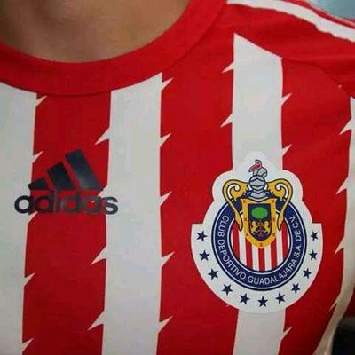 dinaad5's profile picture. Reptilectric