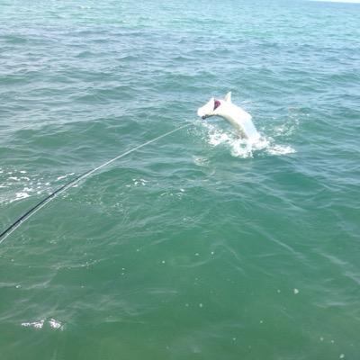 sc4472's profile picture. 