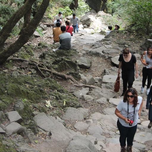 victorantoniobo's profile picture. 