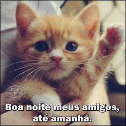 nubia_raimundo's profile picture. 