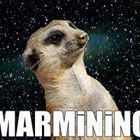 israelocara1's profile picture. so zueiro desgraça se liga nos meu tweets uma piadinha toda semana mim segui que te sigo