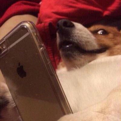 MarleChris's profile picture. 