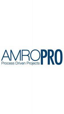 AmroPro was formed in 2014, by bringing together the best in class leadership when it comes to Technical Program Delivery based on Business Transformation.