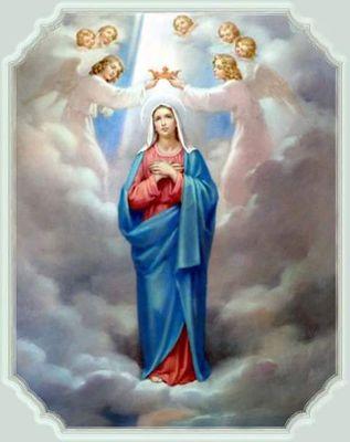 HarrodJoel's profile picture. superviseur VM MTN