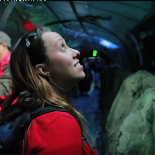 FormerFWF's profile picture. WE MOVED! PLEASE FOLLOW US at: @FriendswithFins https://t.co/GnP2zwzgT8