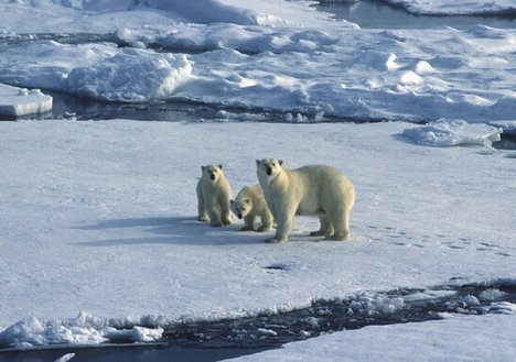 News and analysis on climate change-related issues.