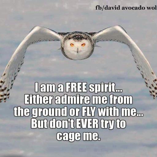 HL4PLAY's profile picture. MAGA, Libertarian, 
  favor minuscule governments local, state & federal. Cowboy, Trader, retired pipeliner/ Operator. Hate living in the PC Age of the Whimp!!!