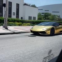 Nicolas  (@bulnesnicolas) 's Twitter Profile