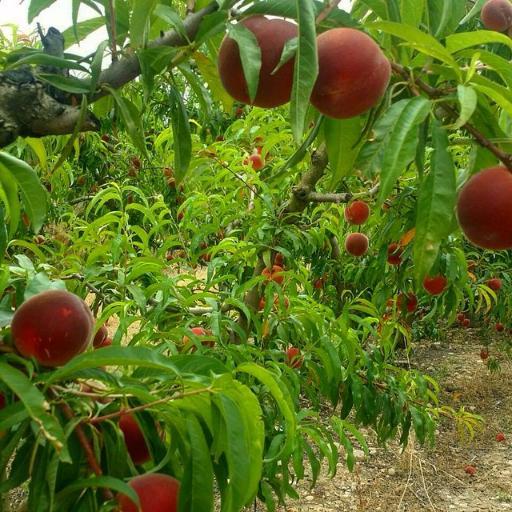 Shawn75520697's profile picture. 