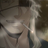 alexia__bot's profile image