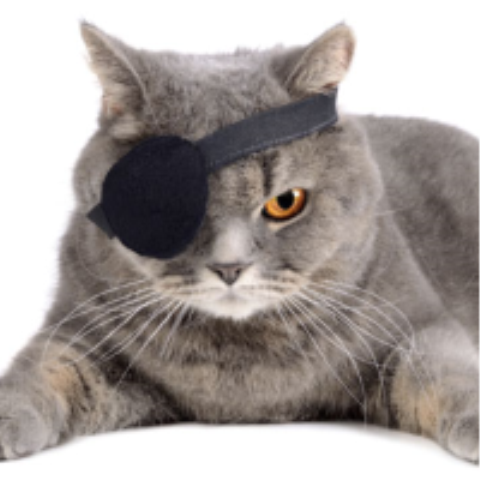 noob coding Research VulnDev. Espionage Threat government forensics
since 1999
Outlaw Group.