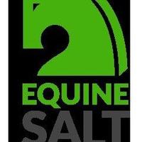 Equine Salt Therapy(@equine_salt) 's Twitter Profile Photo