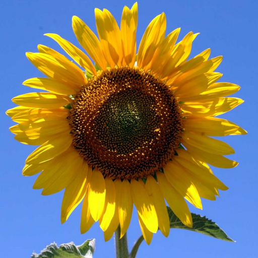 mutsuhiroo's profile picture. 都内でテキストマイニングに従事するR&D
兼 社会人博士を目指す大学の非常勤職員