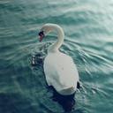 غودهه (@004Tagreed) Twitter