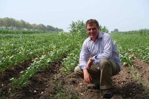 News and analysis about peas, beans, lentils, chickpeas, grains and oilseeds