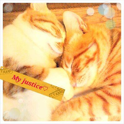 harup262's profile picture. The sky is the limit.