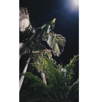 cropouts's profile picture. 24/7