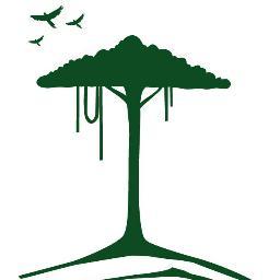 TropicaVerde's profile picture. Verein zum Schutz tropischer Lebensräume. Organización para el cuidado de habitats tropicales. ¡Si se puede! - Wir können es schaffen!
 #ArloSuchtBaumhaus