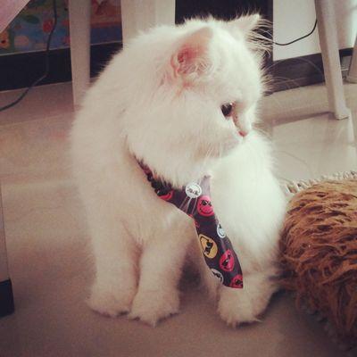 KEDCHANOK12's profile picture. ความเหงา /ที่ระบาย