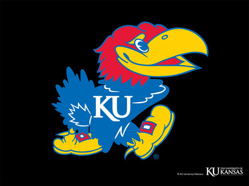 Crazy for the Hawks!! Rock Chalk!