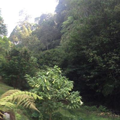 loooleee150's profile picture. اللهم اجعله صدقة لي ولأمي وأبي ولمن أحب