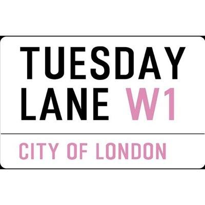 womens clothing line run by three young passionate women, launching this autumn. instagram: @tues_lane snapchat: tuesdaylane