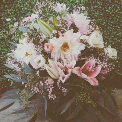 HallerMP's profile picture. #FLOWERS FIND ME ON INSTA @MADELINE218