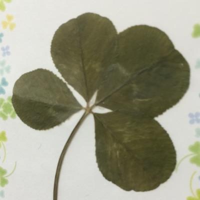 音楽をこよなく愛する病院薬剤師♀循内→ギネ (出戻り)。災害医療。スポーツファーマシスト。First things first. I like→まったり/きれいなもの/→Pia-no-jaC←/まらしぃ/テラモリ/ワンオク/toe/Spotify/SPY×FAMILY/SixTONES/NISA/B'z/サカナクション