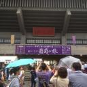 Aquarist (@08053256511) Twitter