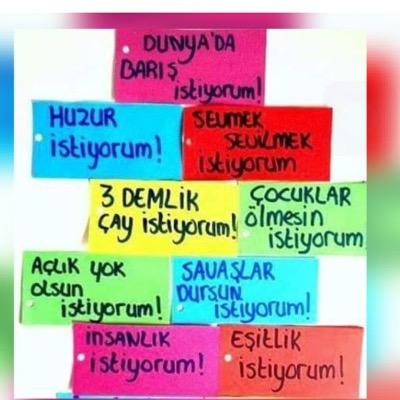 welat2125's profile picture. 