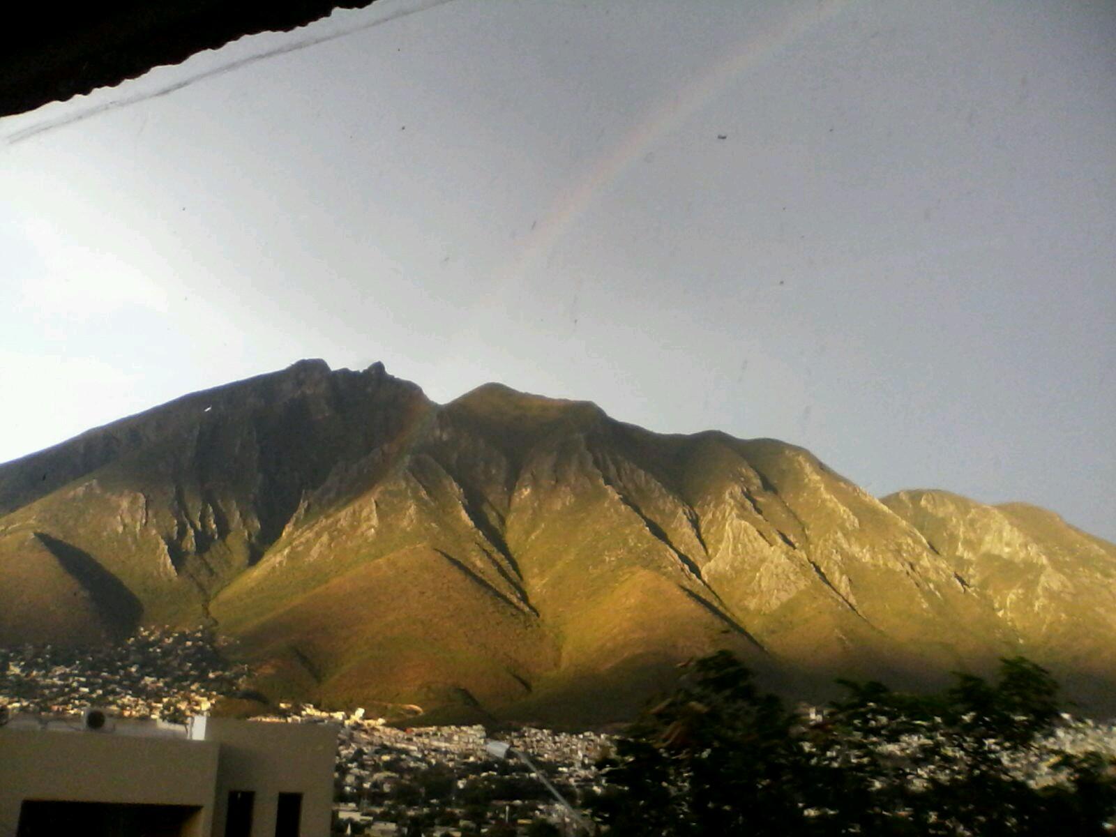 berthafrausto's profile picture. 