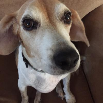 laurieapreece's profile picture. 