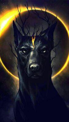 MaackH4CK3D's profile picture. Dou capa da OF por cs:go na steam :D, quem quiser é só me seguir e me marcar.
