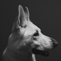 Maulin Mehta (@maulinm) 's Twitter Profile