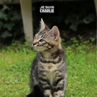 Pierre Dekan 🇺🇦🇺🇦🇺🇦🇫🇲 (@pier2kan) 's Twitter Profile Photo Pierre Dekan 🇺🇦🇺🇦🇺🇦🇫🇲 (@pier2kan) 's Twitter Profile Photo